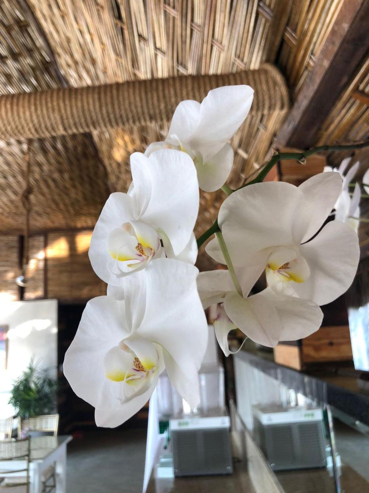 Hotel 모로데상파울루 외부 사진